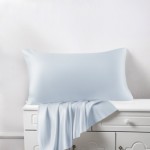 Best Alice Blue Silk Pillowcases UK