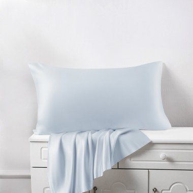 Best Alice Blue 22 Momme Mulberry Zipper Silk Pillowcase UK