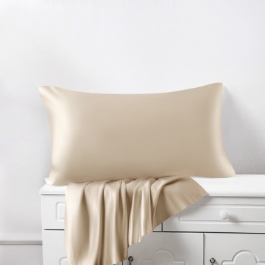 Best Beige 22 Momme Mulberry Zipper Silk Pillowcase UK