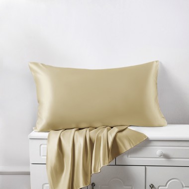 Best Champagne 22 Momme Mulberry Zipper Silk Pillowcase UK