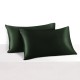 Best Hunter Green 22 Momme Mulberry Zipper Silk Pillowcase UK